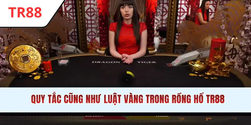 Quy tắc cũng như luật vàng trong Rồng Hổ TR88